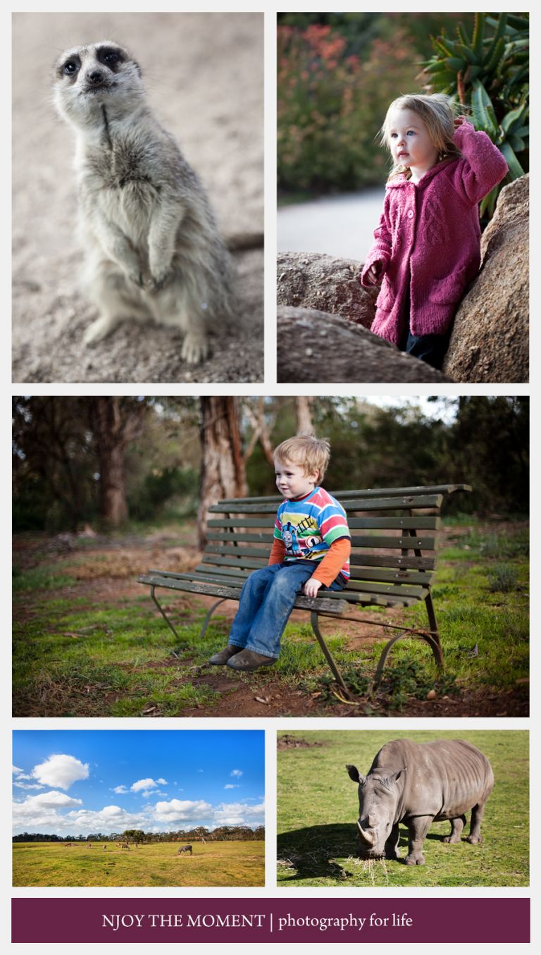 Family Photographer Melbourne