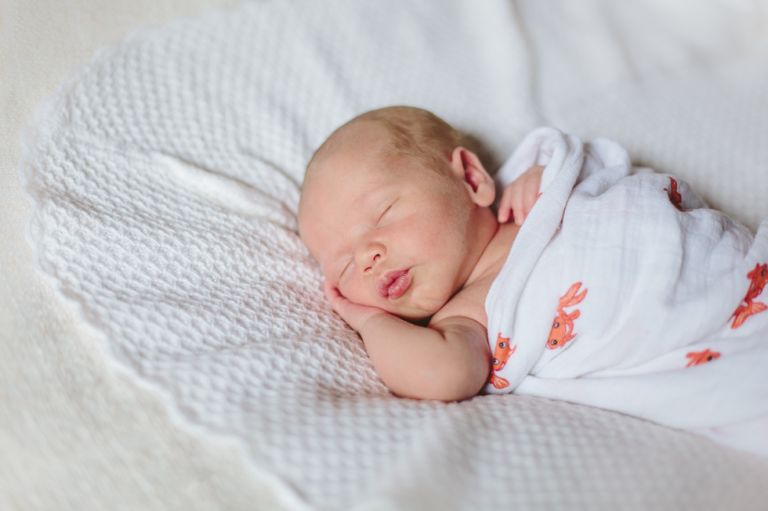 newbornportraits (16)