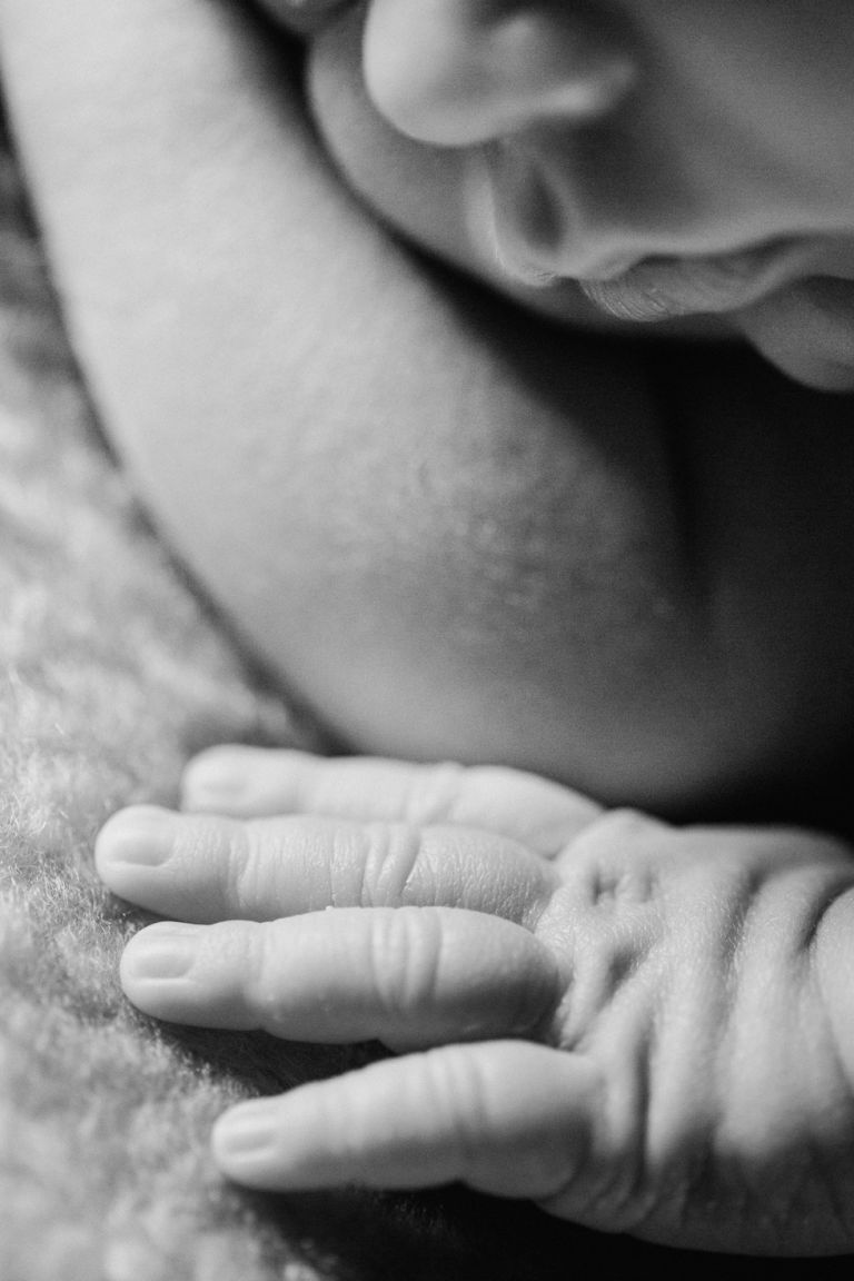 newbornportraits (22)