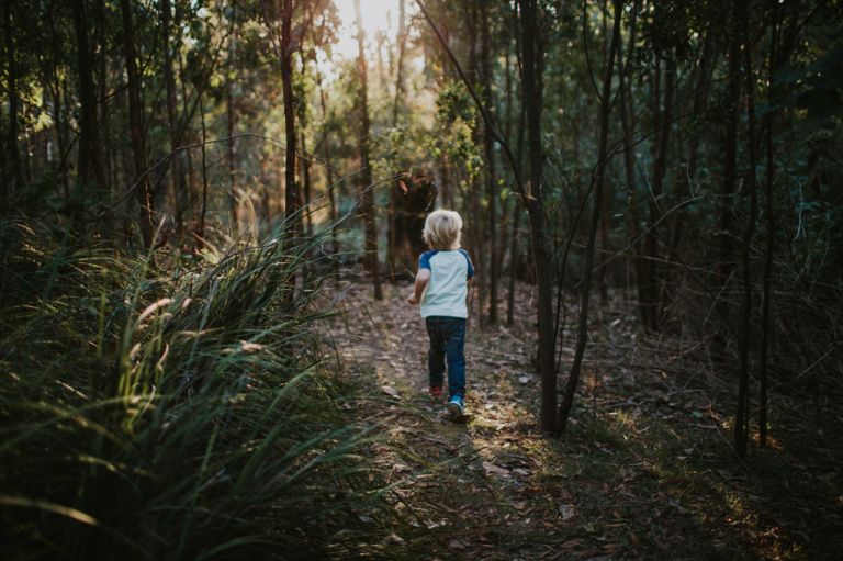 where the wild things are