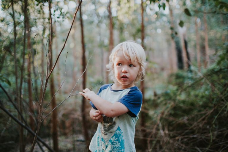 tribe archipelago presets
