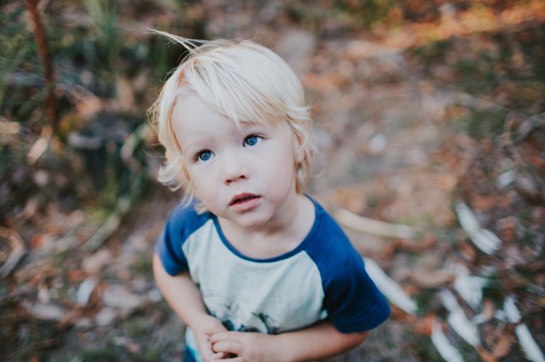 tribe archipelago presets