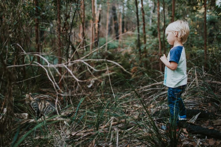going on a bear hunt