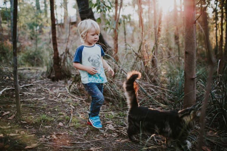 going on a bear hunt