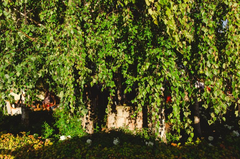 Photography of wedding details