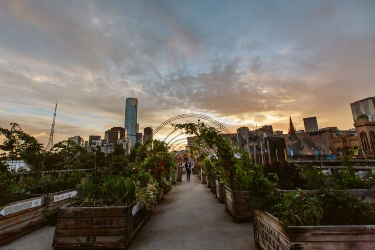 melbourne sunset wedding